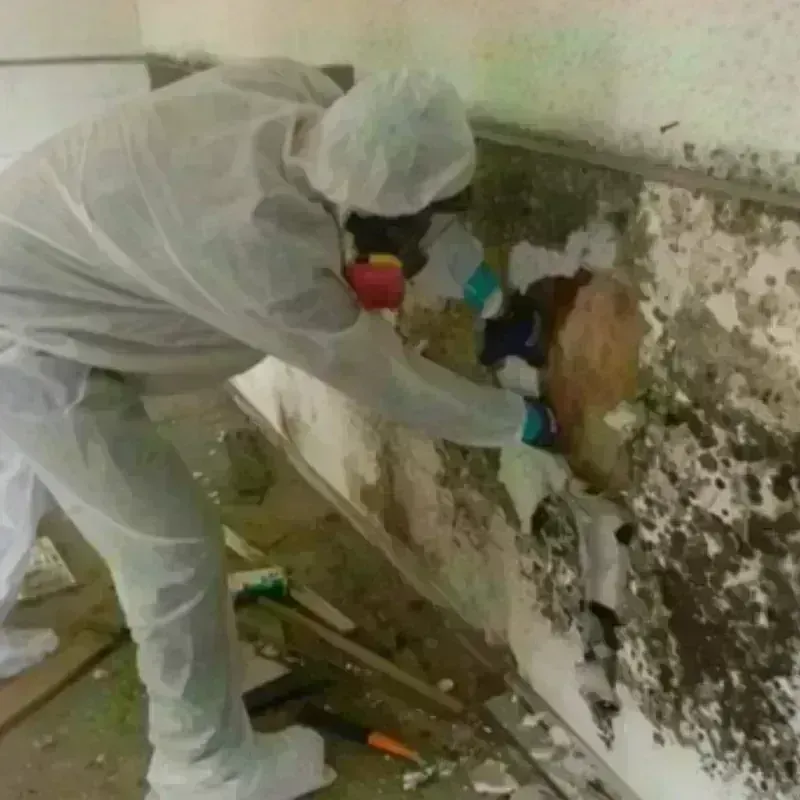 Best Mold Remediation and Removal Service in Bernardsville, NJ